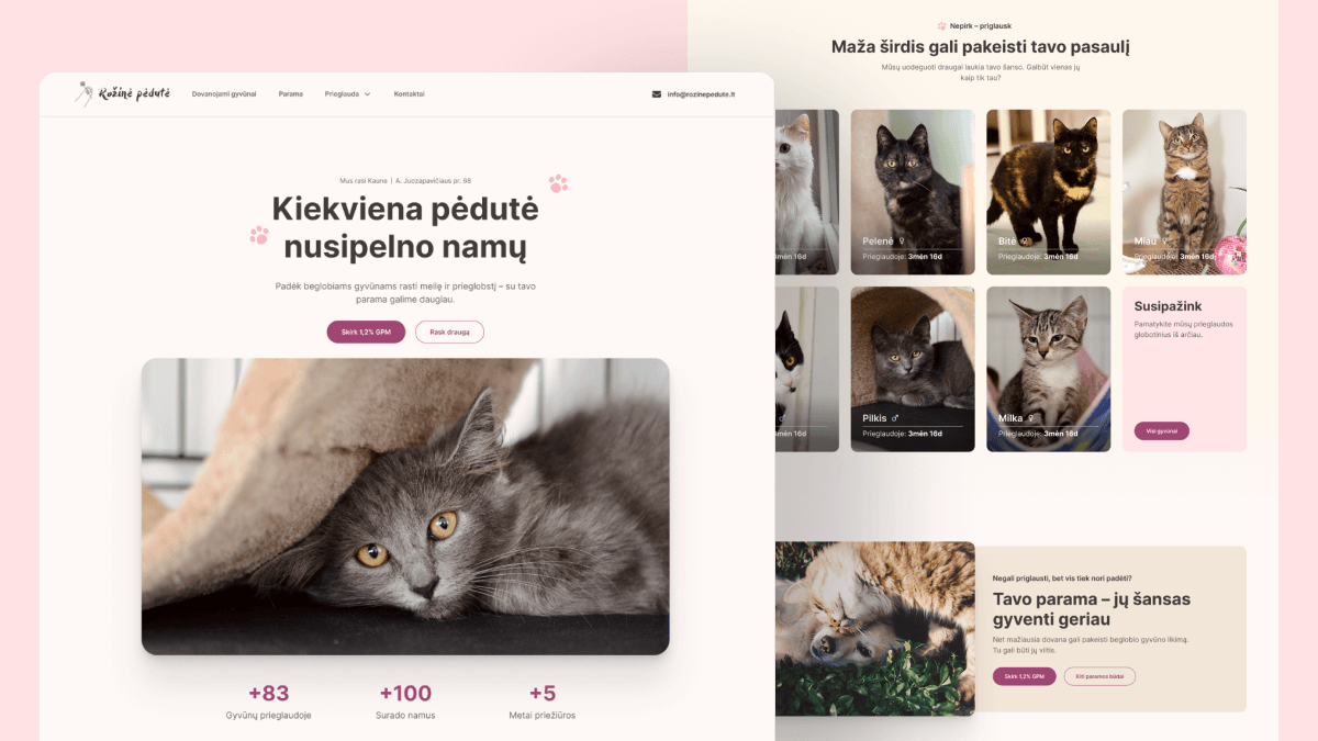Rožinė Pėdutė Website Design Mockup