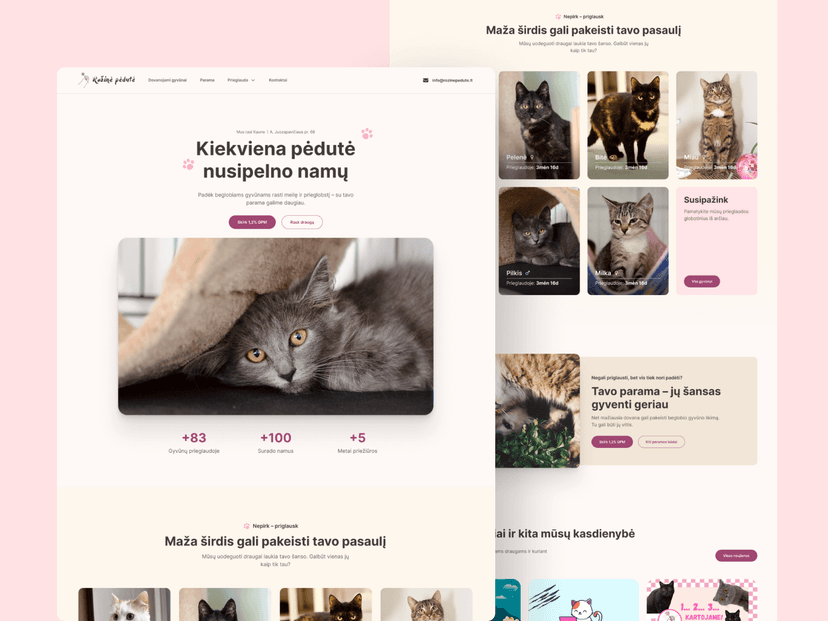 Mockup 3