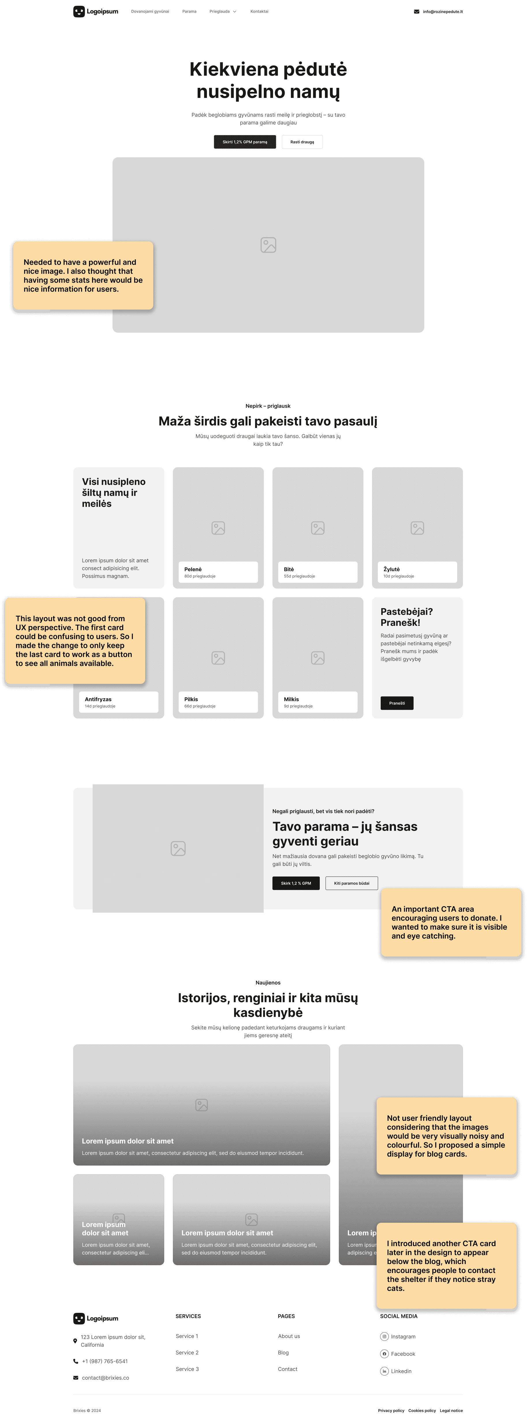 Sample of homepage wireframes